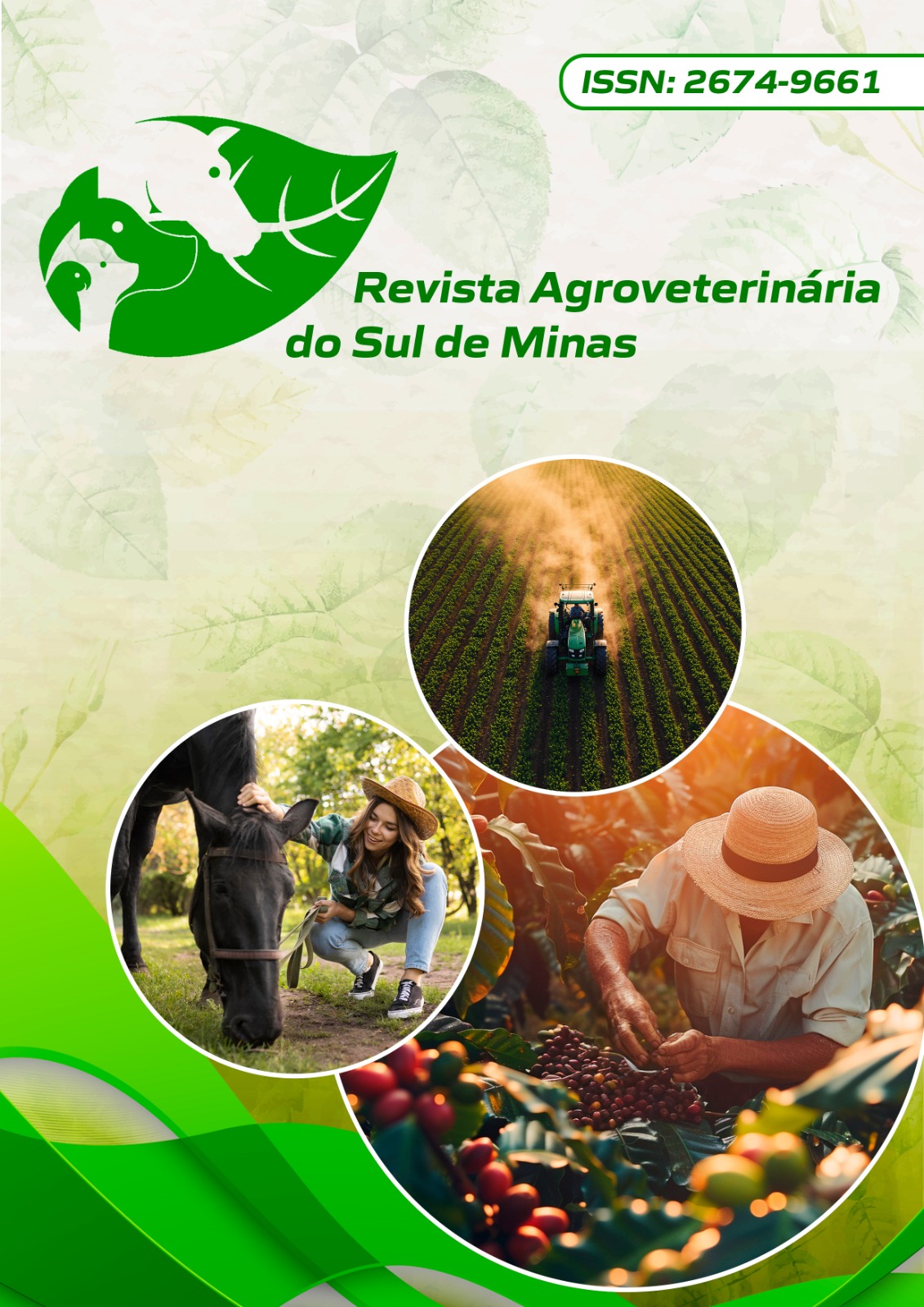					Visualizar v. 8 n. 1 (2026): Revista Agroveterinária do Sul de Minas
				